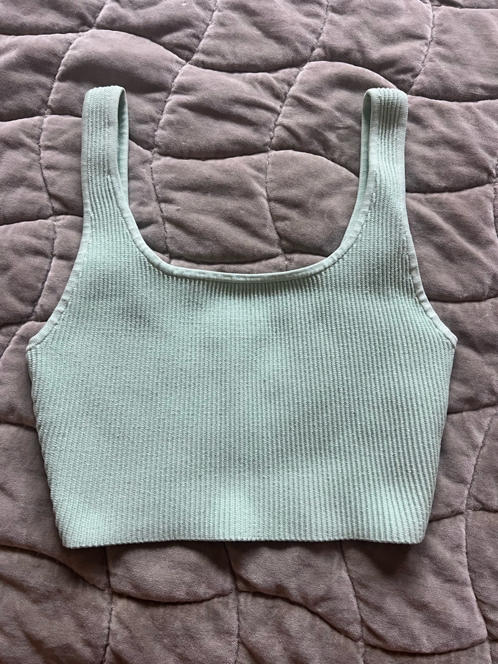 Aritzia Babaton Ribbed Mint Tank Top